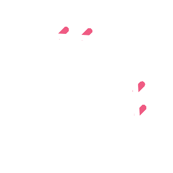 Flight